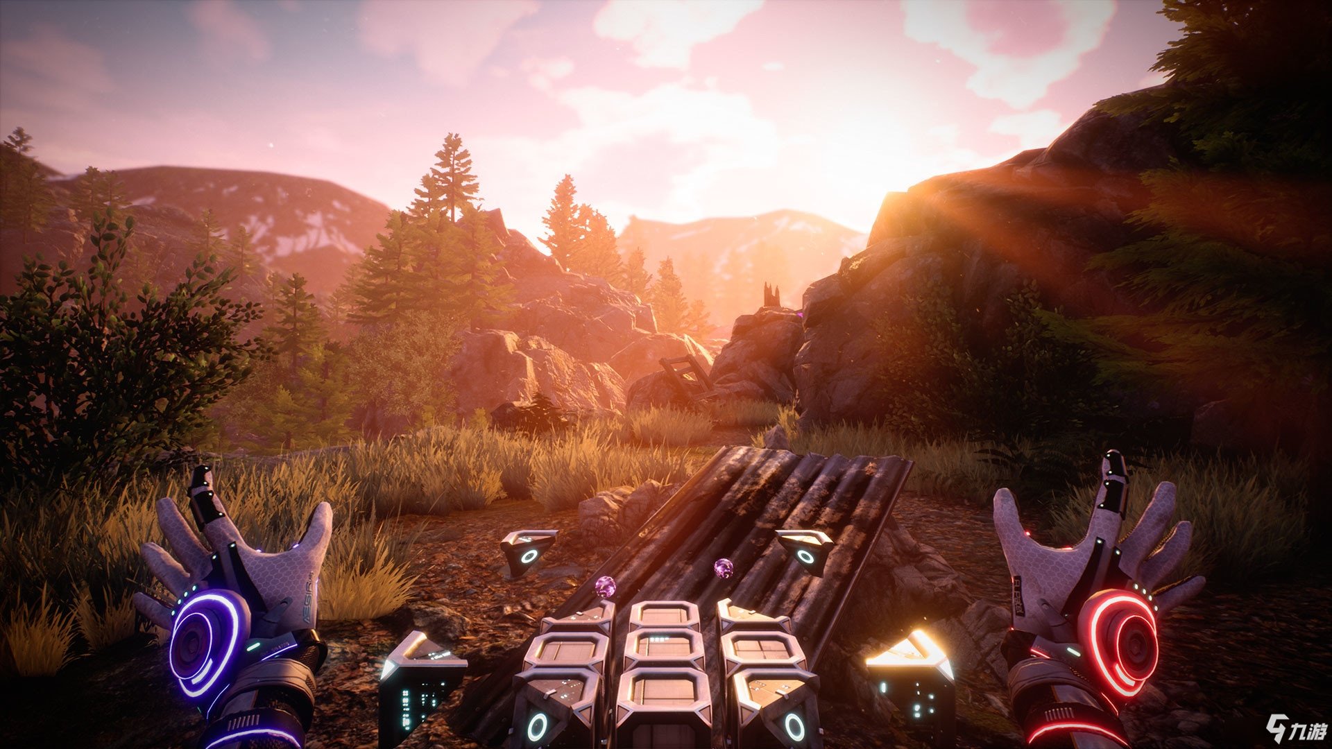 饥荒 年度版 截图13